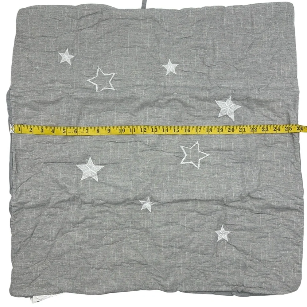 Pottery Barn Kids European Square Paw Patrol Quilted Embroidered Sham